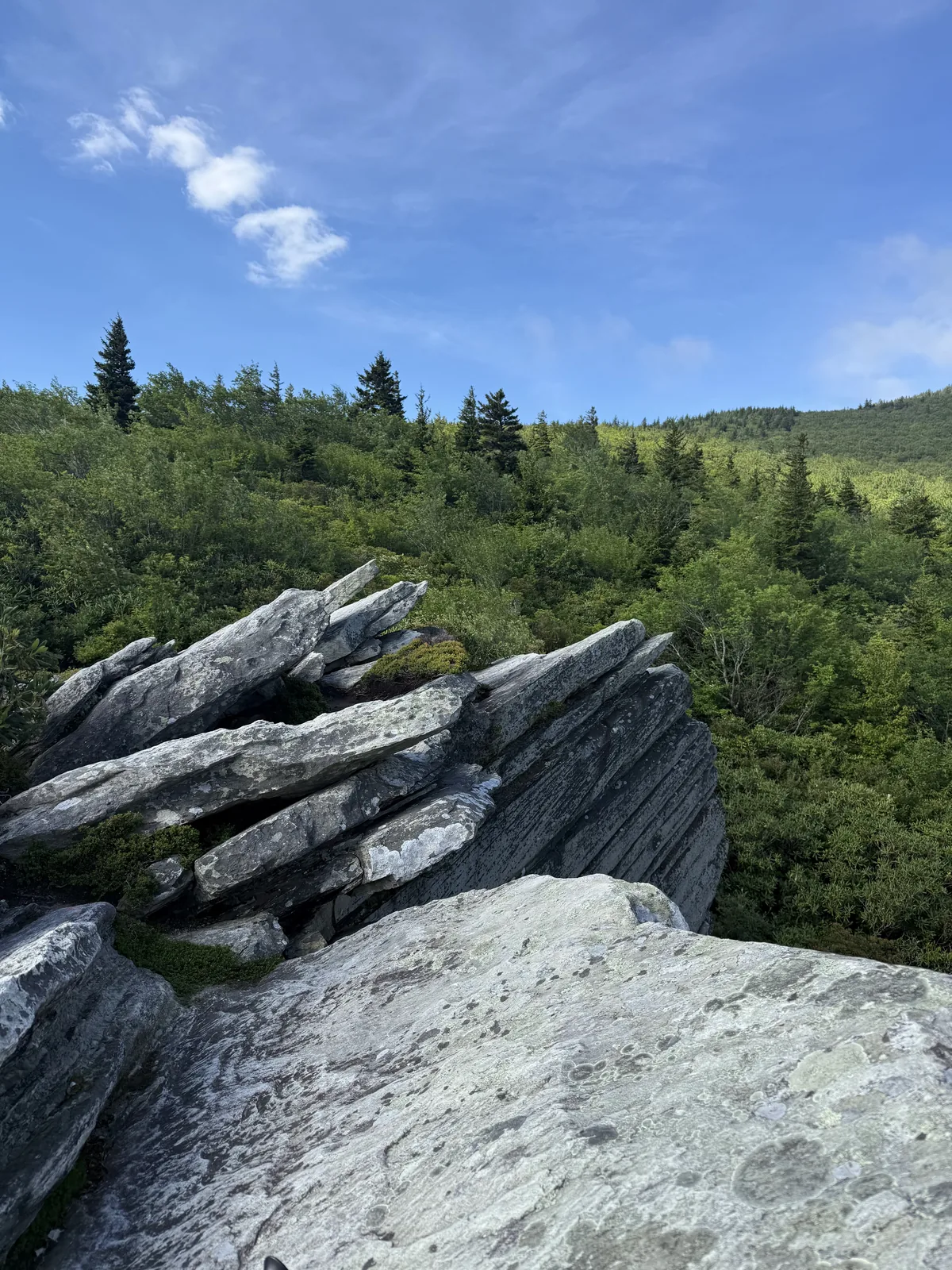 Bright blue sky over layered rock and green mountain forest, the kind of view that makes a weekend feel bigger.
